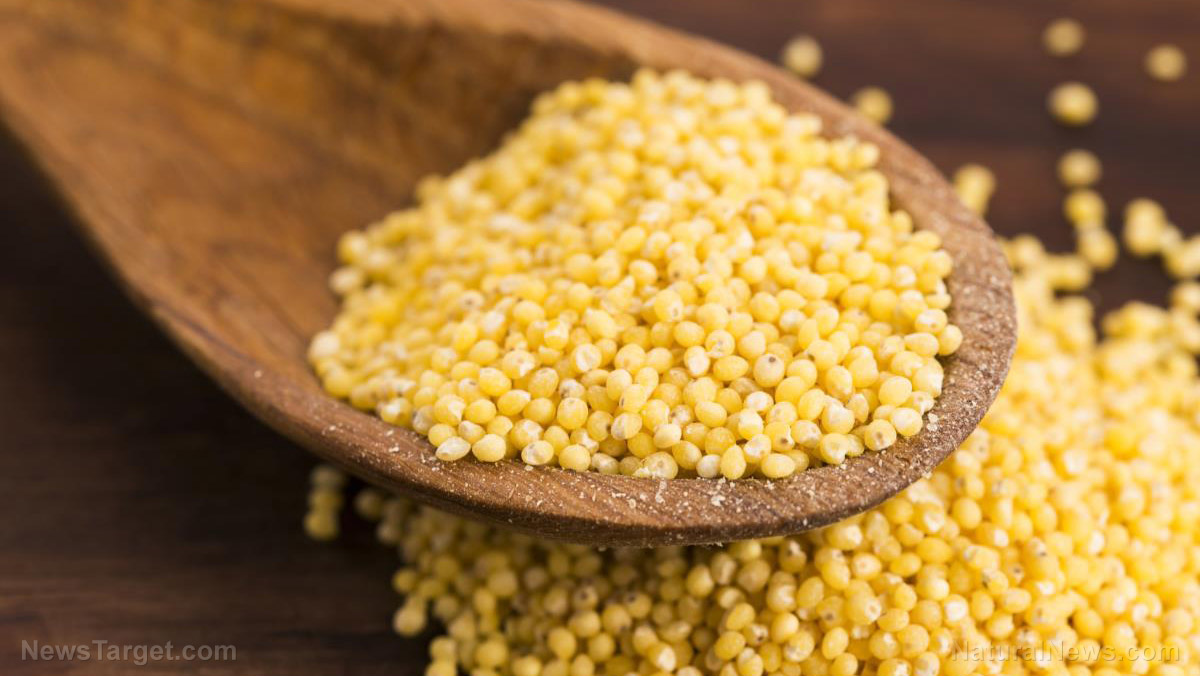 Here’s why you should eat more millet, a superfood packed with protein and fiber
