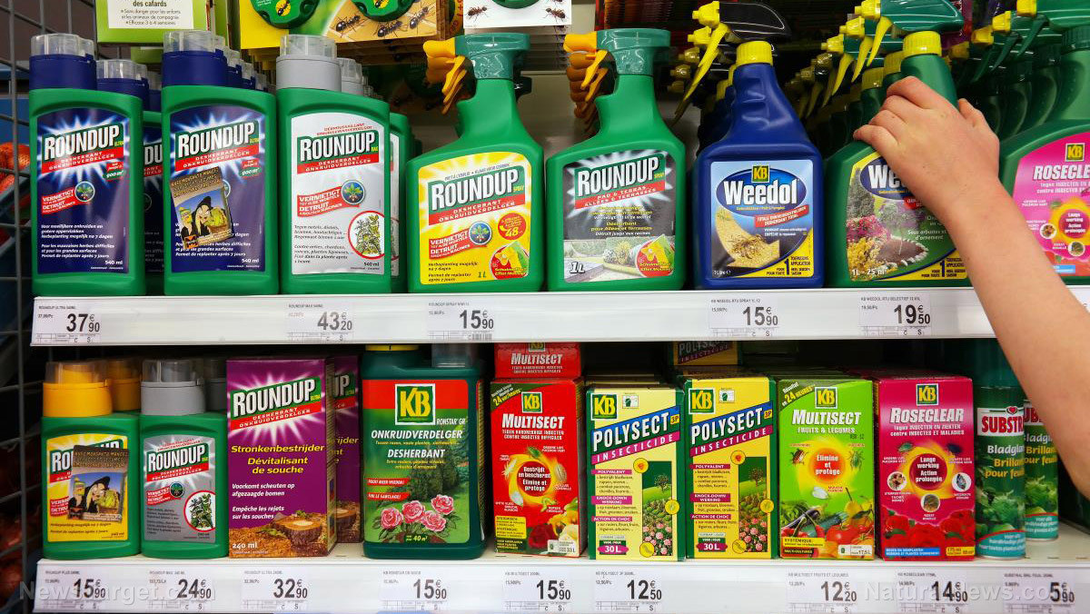 Glyphosate is spreading further into the ecosystem, now detected in surviving wildflowers and bee pollen