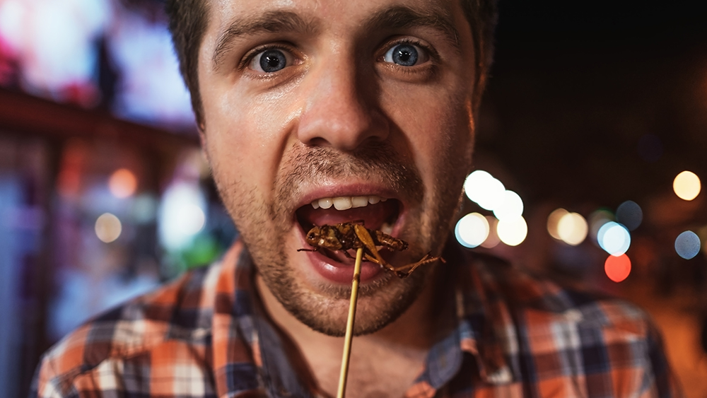 NPR calls the backlash over not wanting to eat bugs a ‘conspiracy’