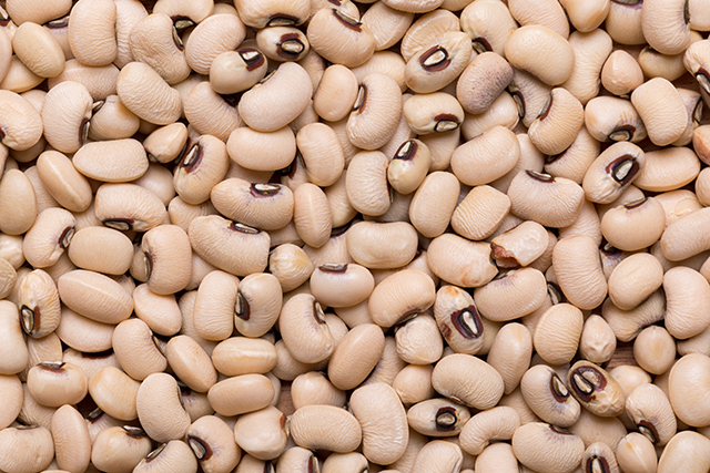 Food supply 101: The best beans for long-term storage