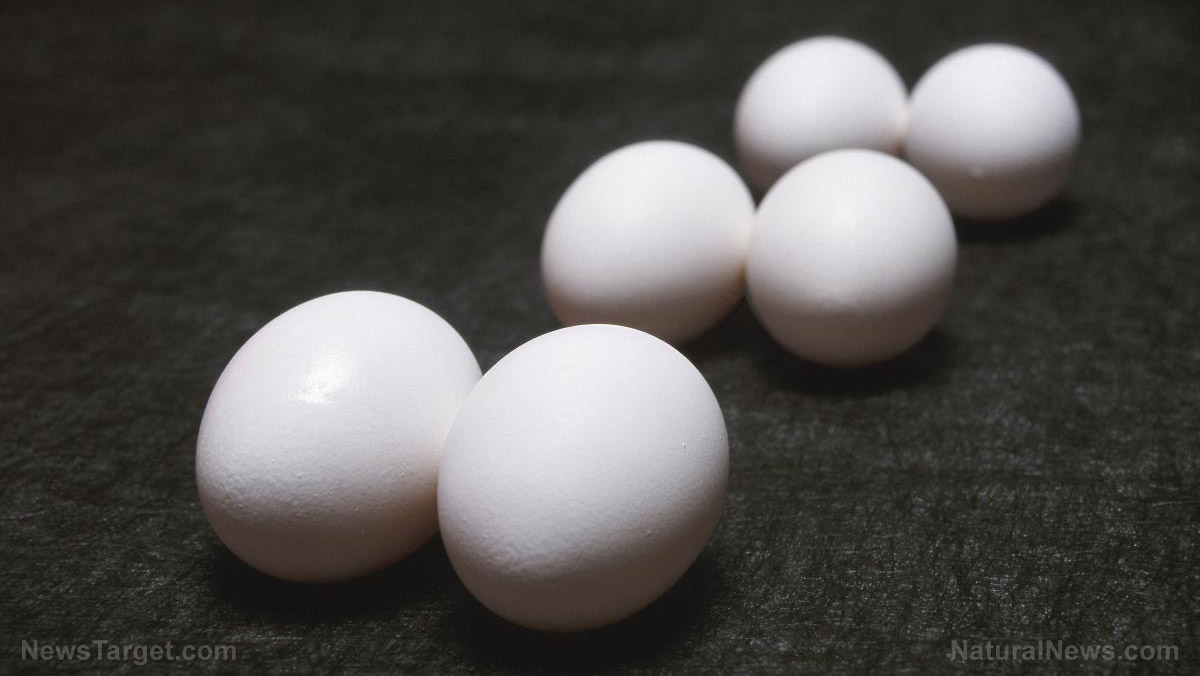 718% profit from largest US egg producer sparks calls to BREAK UP Big Ag