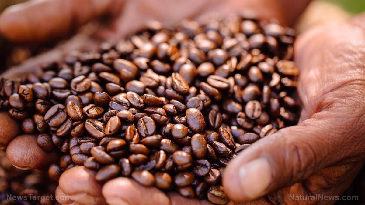 FOOD CRISIS BREWING: Robusta coffee bean prices hit 12-year record high amid El Nino threat
