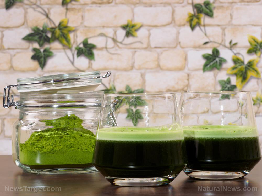 Scientific literature shows chlorophyll-rich chlorella to be among the most effective nutritional supplements for dioxin DETOX