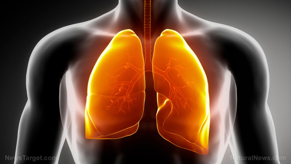 How to keep your lungs healthy and strong