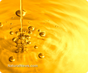 Vegetable oils (i.e., soy, canola) have “remarkable estrogenic properties,” study finds