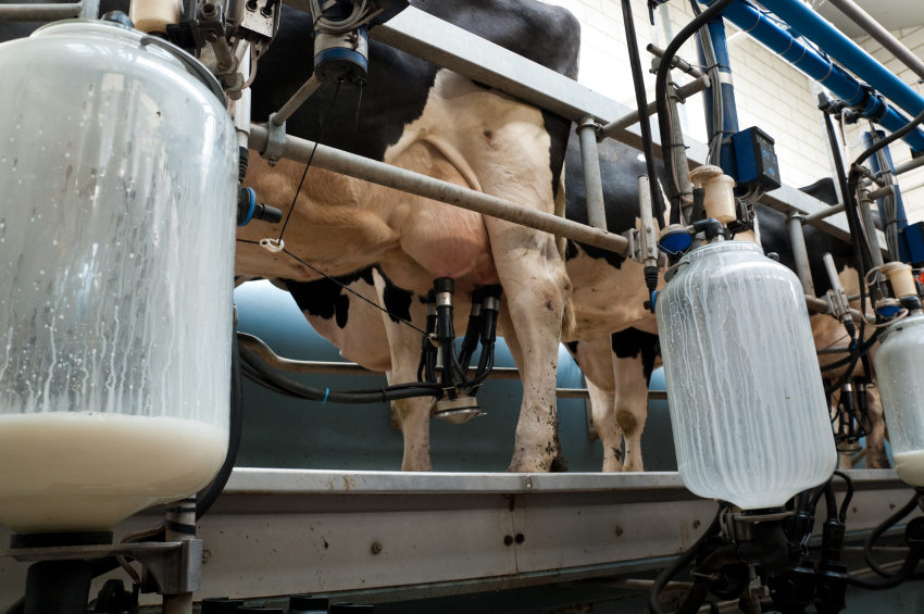 Canadian government forcing dairy farmers to DUMP MILK because regulatory quotas only allow so much to be produced, sold