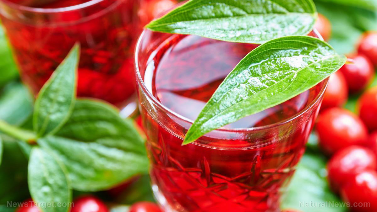 Prevent urinary tract infections (UTIs) and support overall health with cranberry juice