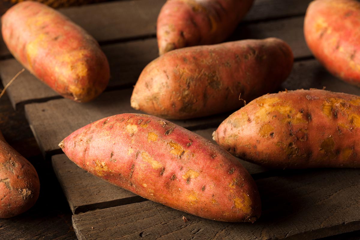 Healthy reasons to eat sweet potatoes
