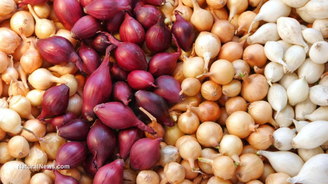 India bans onion exports as government tries to control rising food prices