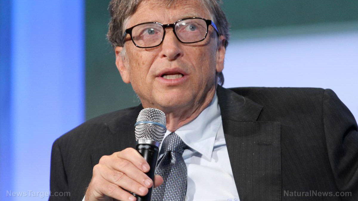 Bill Gates says Africans need GMO seeds, chickens to survive climate change