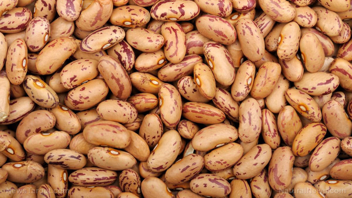 Pinto beans: A nutritional powerhouse for every diet