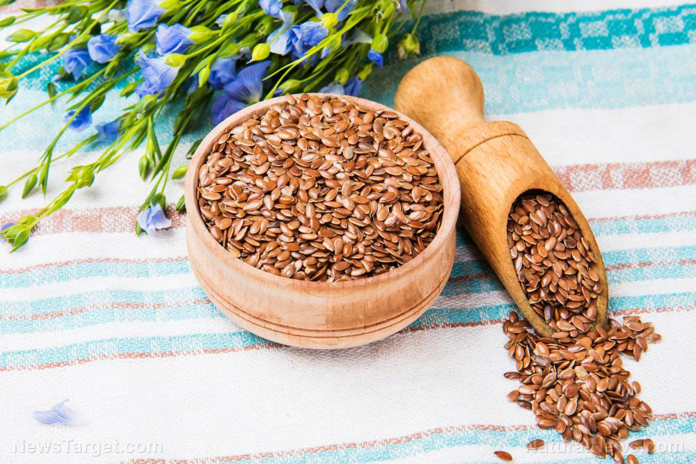 Flaxseed powder cut liver fat in 12-week clinical trial