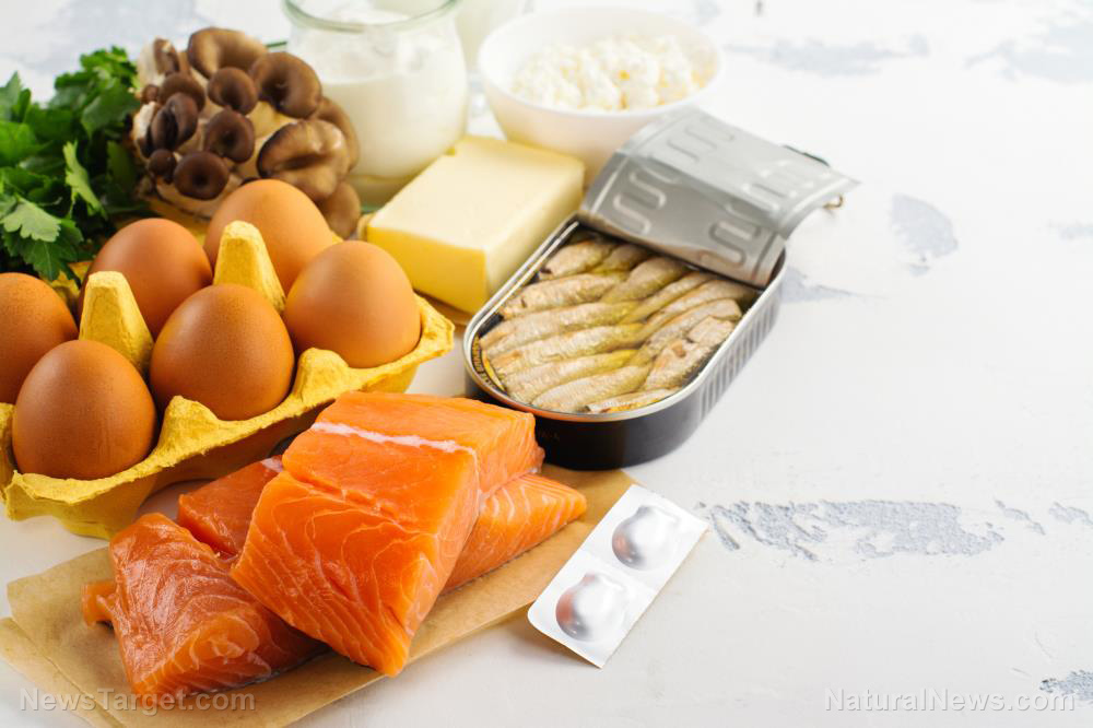 Beyond the egg: Superior food sources of vitamin D for modern diets